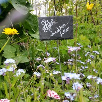 Insekten Futter